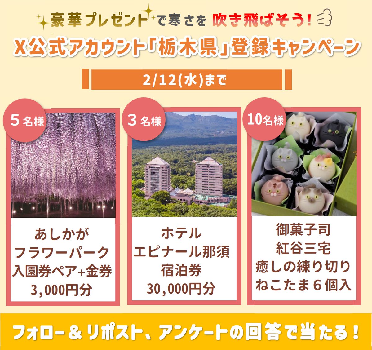 pref_tochigi's tweet photo. 🌼フォロー&amp;RP #キャンペーン🏨😺

#あしかがフラワーパーク 入園券ペア他
#ホテルエピナール那須 宿泊券
御菓子司 #紅谷三宅 癒しの練り切り ねこたま6個入が
当たる✨

🎁応募方法
1⃣＠pref_tochigiをフォロー
2⃣本投稿をリポスト
3⃣アンケート回答
https://t.co/5SiDzeRDtW

📅2/12(水)

規約等は↓ https://t.co/Eo38Ob8Uxq
