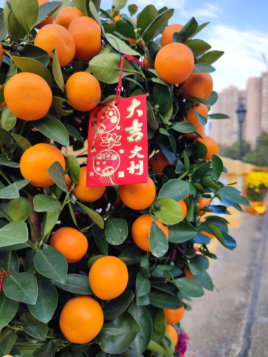 橘拓也@HongKong tweet media