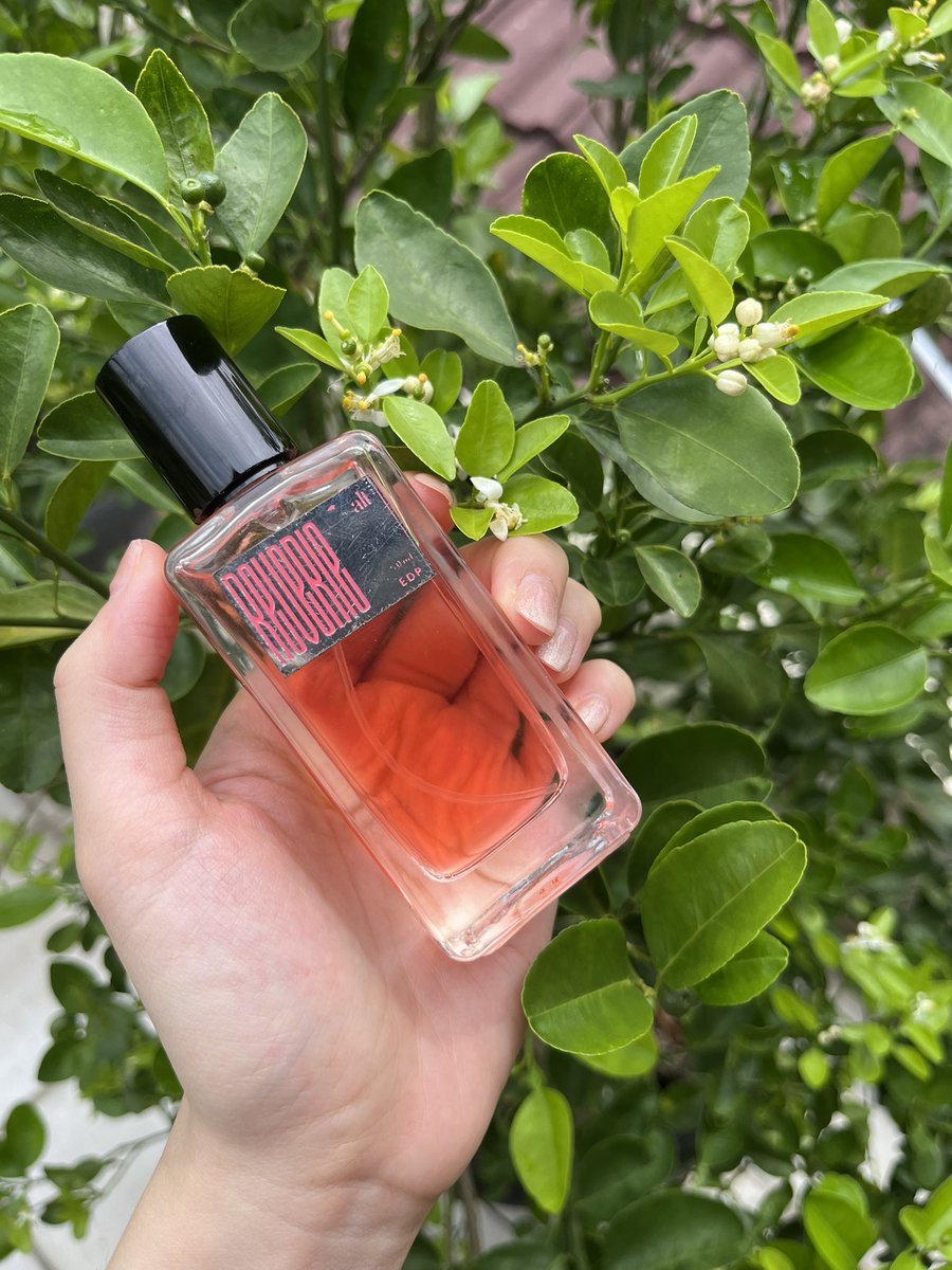 bluemingblo's tweet photo. kalian pengen ga sih jadi yang orang nya udah lewat tapi parfumnya masih ketinggalan

PLEASE WAJIB BGT COBAIN PARFUM INI 

parfumnya                                    wanginya https://t.co/UvZ5PVOIZF