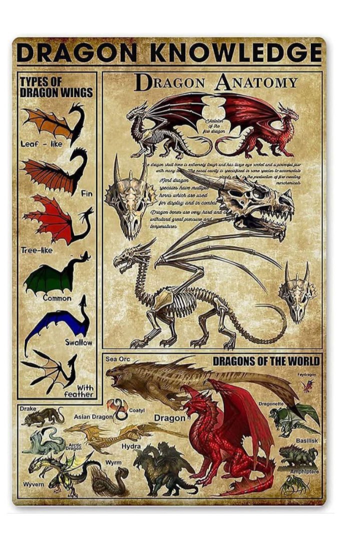 The more you know 🐉🐲🐉