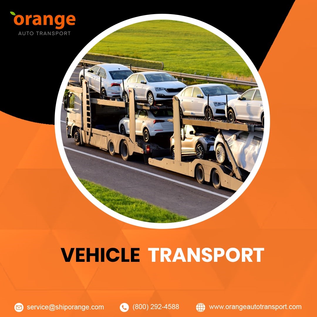 OrangeAutoTran1's tweet photo. From daily drivers to luxury cars, Orange Auto Transport makes vehicle transport easy and worry-free. Call us today for a quick and reliable service!

https://t.co/vzVTxAVPQN

#Orangeautotransport #reliable #service #luxurycars #vehicle https://t.co/4X6VgN5ZUe