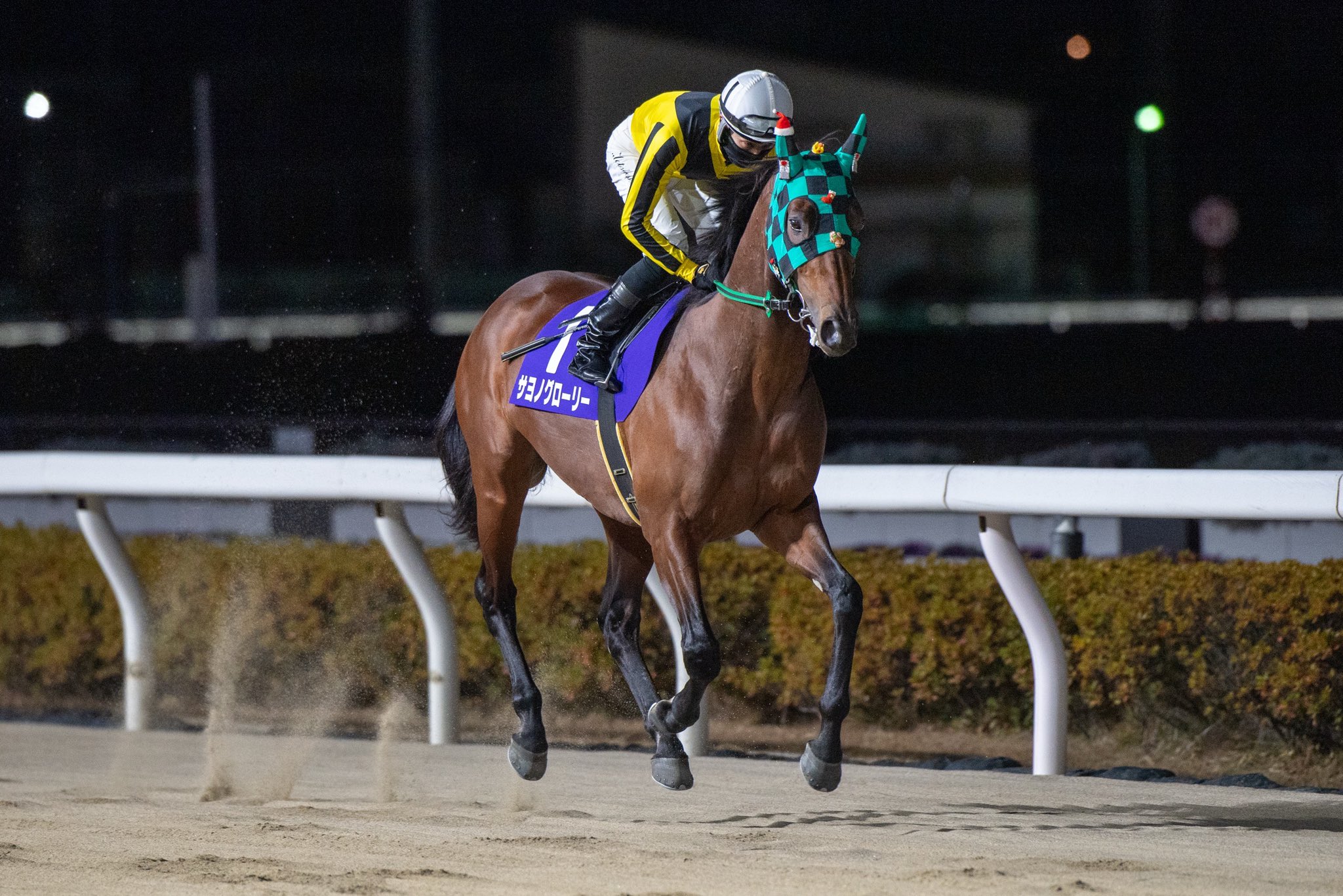 JRA 競馬　メンコ　マウス Amazon | A.JAZZ x ATTACK SHARK X3 ゲーミングマウス 超軽量