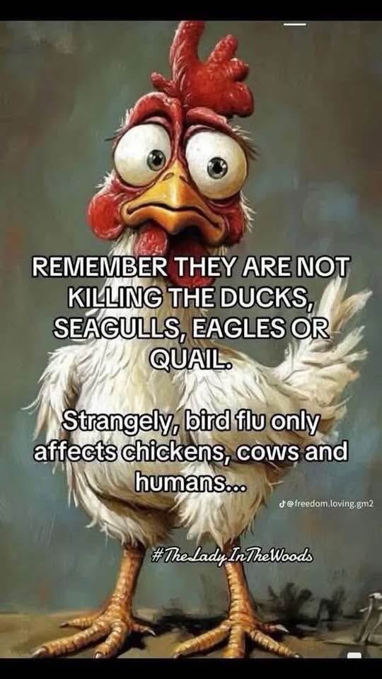 Yep and it’s not being investigated by journalists, why?