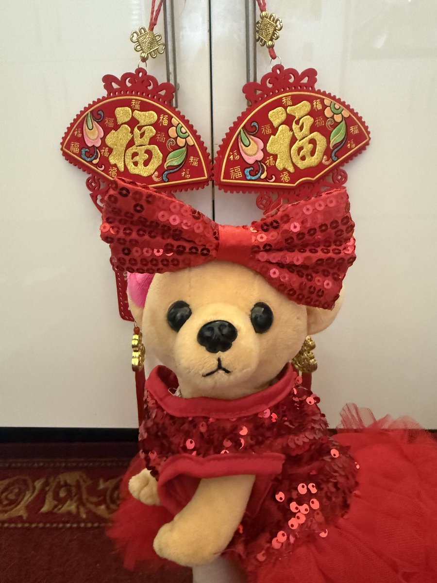 Mini_Tink_'s tweet image. I got dressed up for Chinese New Year and yeah in twinning with my big sister 

#minitink #dogsoftwitter #plushiesoftwitter #tatertotsquad