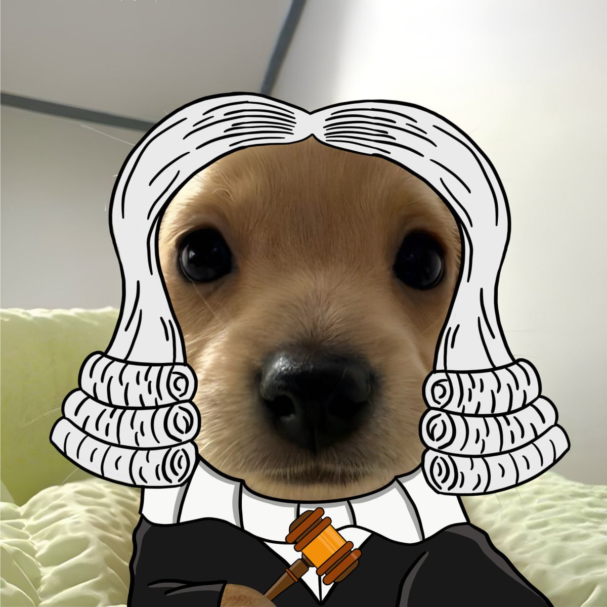 i find u guilty of bearposting

sentence: 1 year of hodling