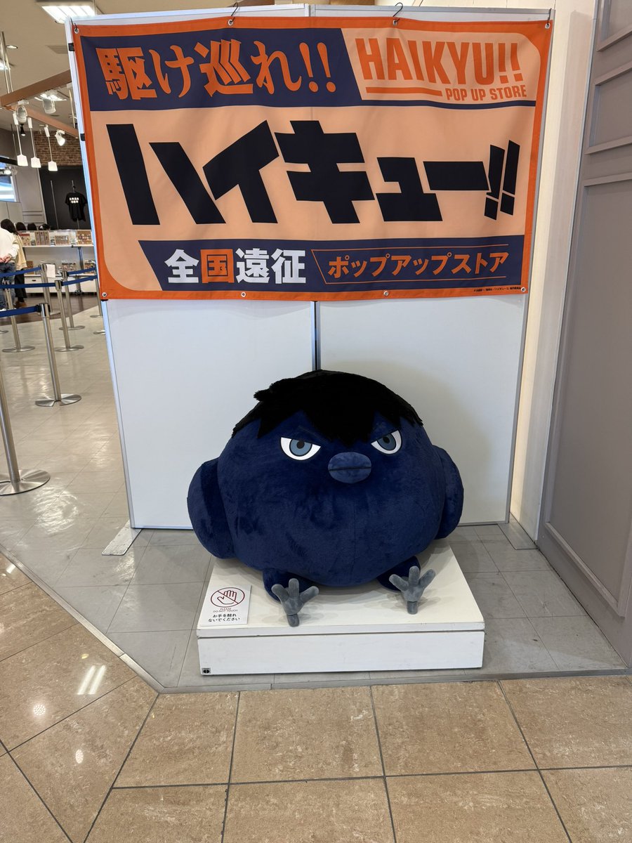 mtmt_uta's tweet photo. ハイキューのポップアップストアーに
���ってきたよ！ https://t.co/GRZhRxYQSy