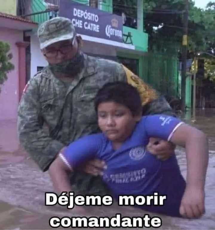 mario7castro's tweet photo. Un amigo que conozco https://t.co/daFePMbEVy