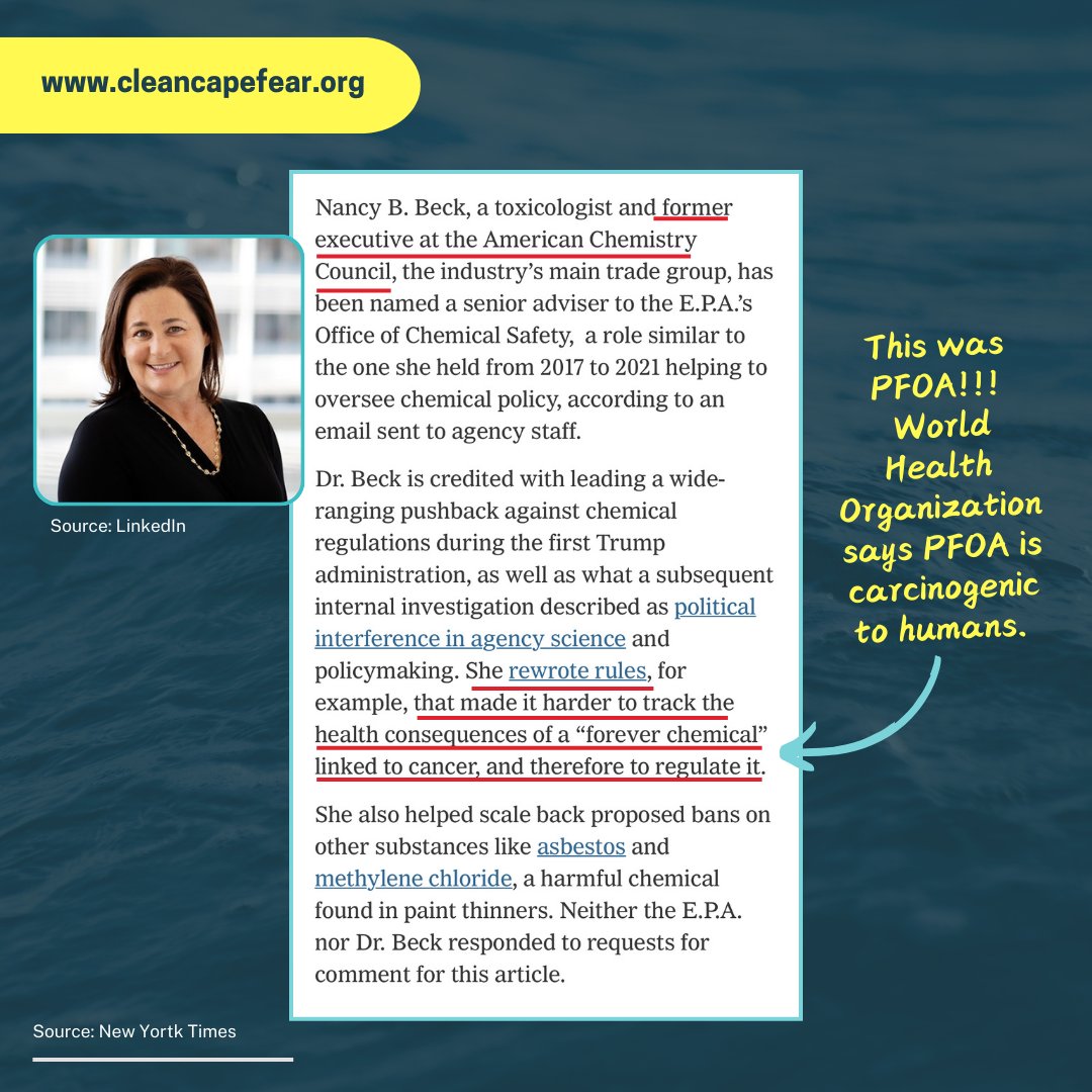 Clean Cape Fear tweet media