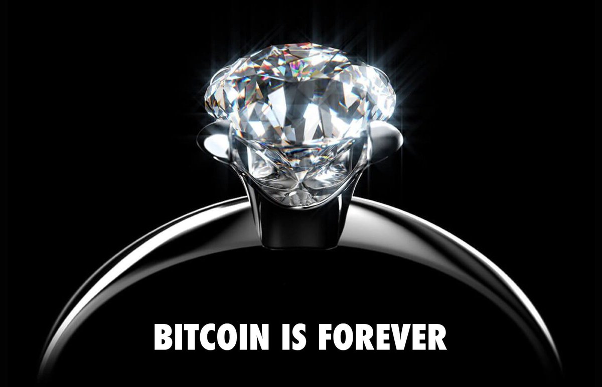 TO's tweet image. Bitcoin Ordinals &amp;amp; Runes