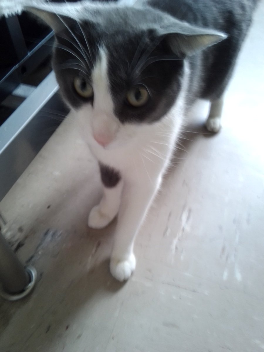 <a href="/freakymaster1/">☆ 𝓯𝓻𝓮𝓪𝓀 .𖥔 ݁ ˖</a> <a href="/thesoggiestALT/">sog ²</a>