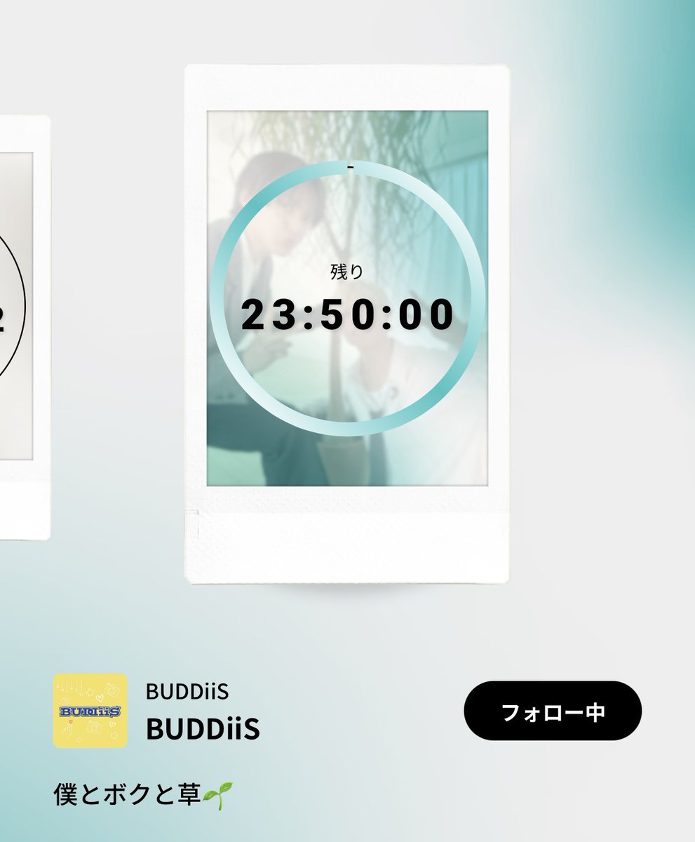 BUDDiiS×Favsquad✨ 『本日12:00に 新しい画像をアップしました