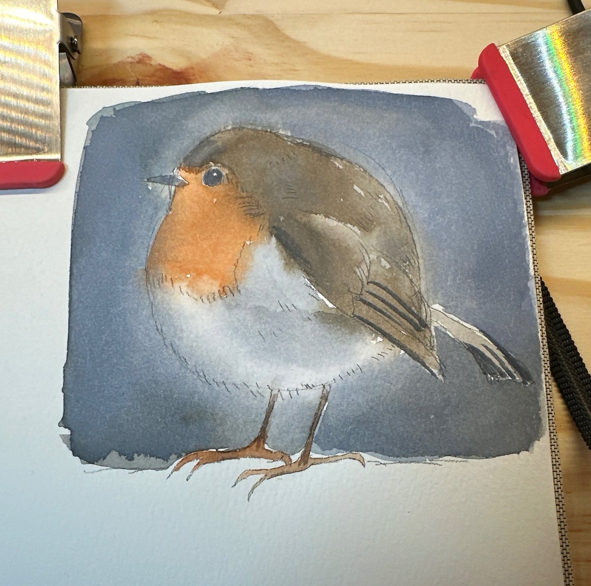 i love the european robin