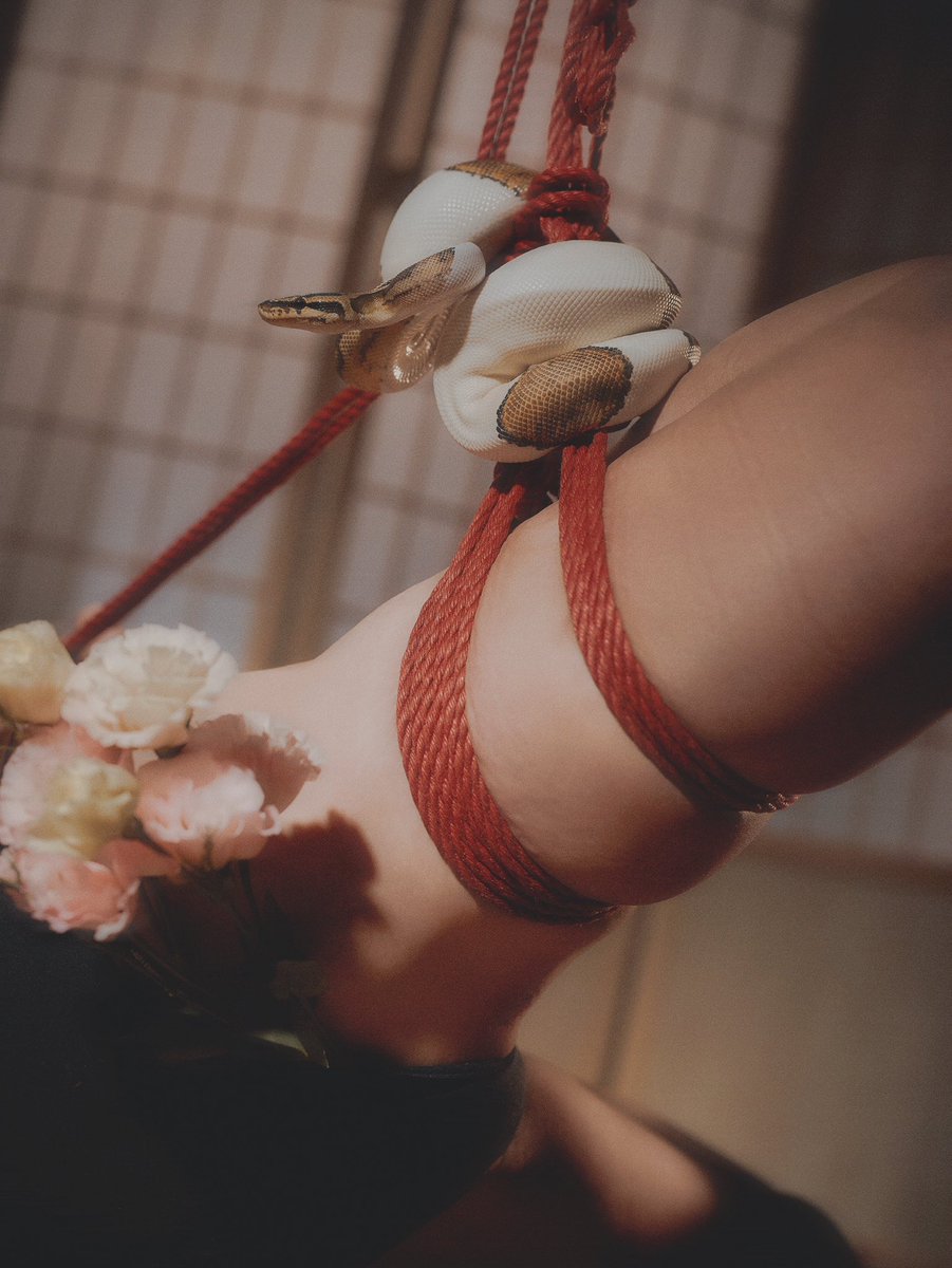 lylaaa_boo (@lylaaaboo) on Twitter photo Happy Chinese New Year🧧
This piece taken in 2022, still loving it.
Rope <a href="/SteveShibari/">Steve Freeman Forever</a>
Photo by Charles.C
#shibari Happy Chinese New Year🧧
This piece taken in 2022, still loving it.
Rope <a href="/SteveShibari/">Steve Freeman Forever</a>
Photo by Charles.C
#shibari