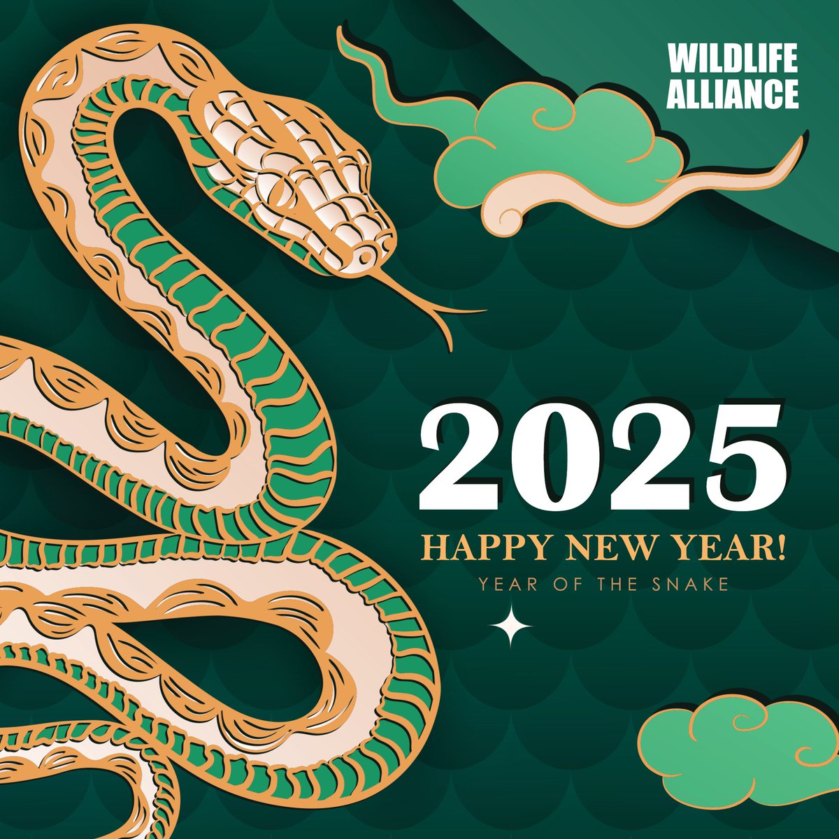 On New Year's Day, Wildlife Alliance wishes everyone good health, prosperity, and happiness for all families. Travel safely, whether near or far. Happy Chinese New Year!
#wildlifealliance #festivities #HappyChineseNewYear  #YearOfTheSnake  #Cambodia
