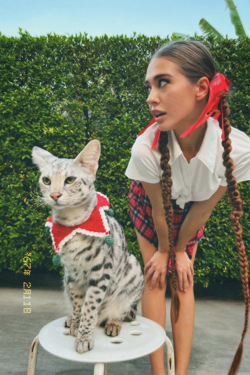 Angela Nikolau 🐈⬛ tweet media