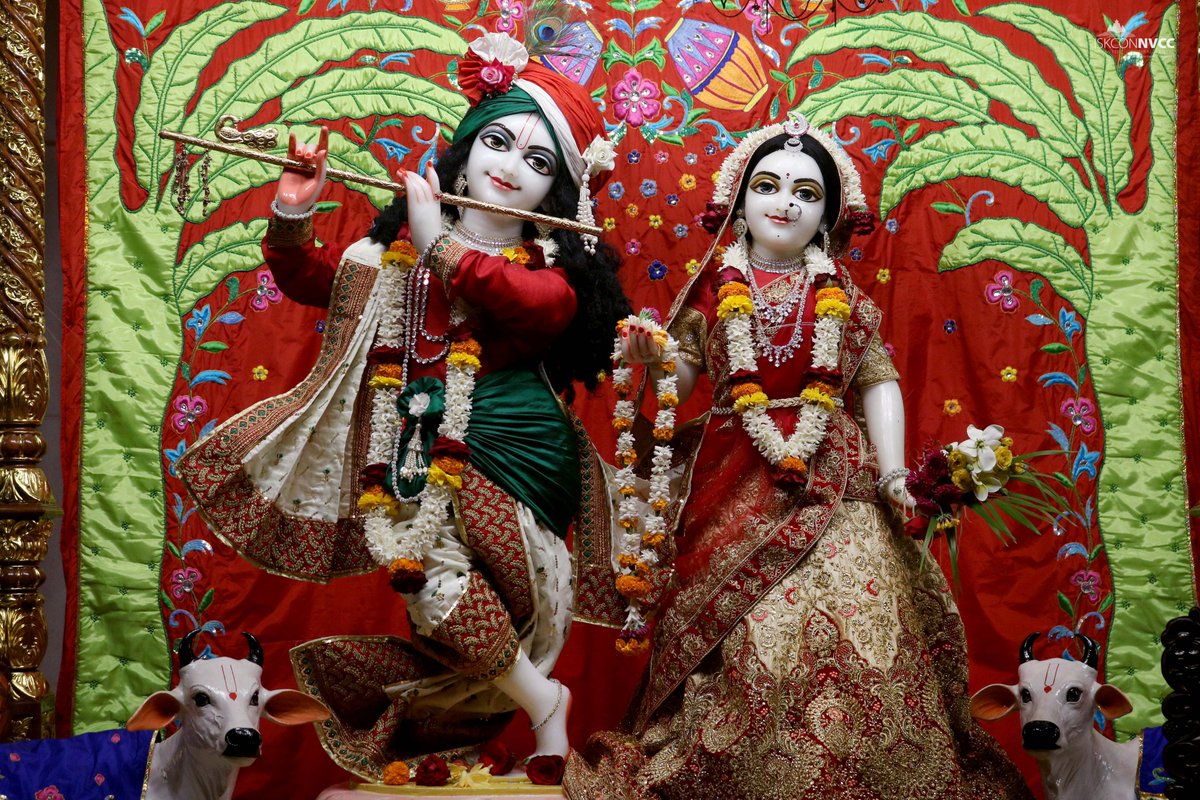 ISKCONPune's tweet photo. 🌷Mangal Arati Darshan🌷🗓29/01/2025🙏🚩@ISKCONNVCCPune🚩
.
.
#ISKCONNVCC #ISKCONPune #ISKCONNVCCPune #ISKCON
#kumbhmela2025 #kumbhmela #Prayagraj
#PrayagrajMahakumbh2025 #29thjanuary #29thjanuary2025
#Wednesday #Harinaamsankirtan #Radheshyamdas #Radheradhe
#Sankirtan #Kirtan https://t.co/YQ2joxisce
