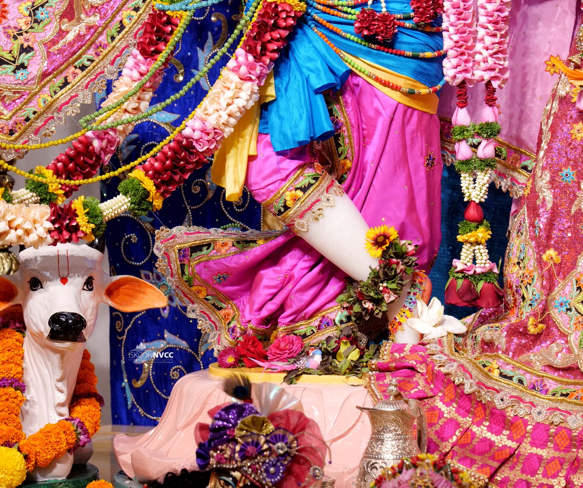 ISKCONPune's tweet photo. 🙏🏽Today's Darshan 📿 🗓29-01-2025🙏
🌷Sri Sri Radhavrindavanchandra🌷
🚩@ISKCONNVCCPune🚩
.
.
#ISKCONNVCC #ISKCONPune #ISKCONNVCCPune #ISKCON
#kumbhmela2025 #kumbhmela #Prayagraj
#PrayagrajMahakumbh2025 #29thjanuary #29thjanuary2025
#Wednesday #Harinaamsankirtan #Radheshyamdas https://t.co/2vZtY5gdNT