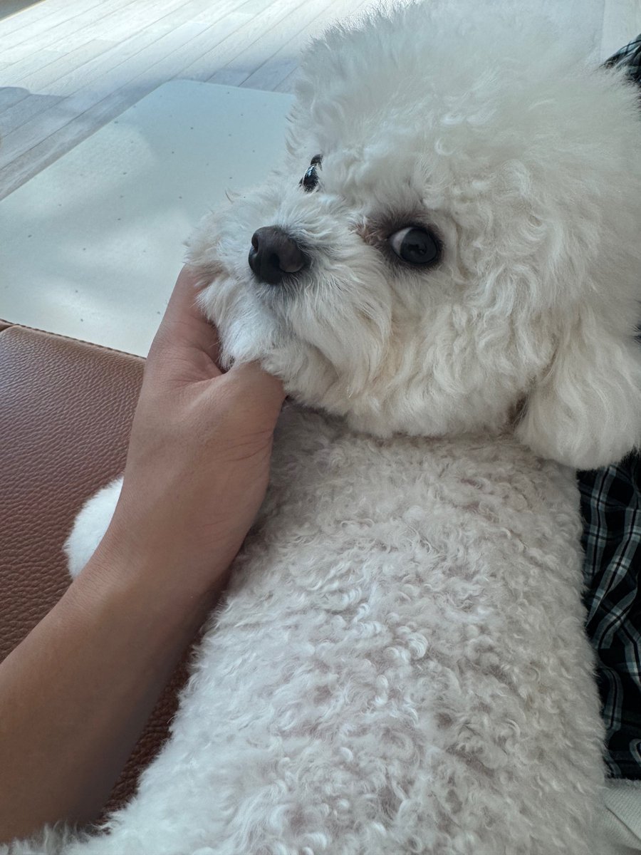 뚱치랑 초코색 피부 민규랑
잠옷 보이는거까지 다조음