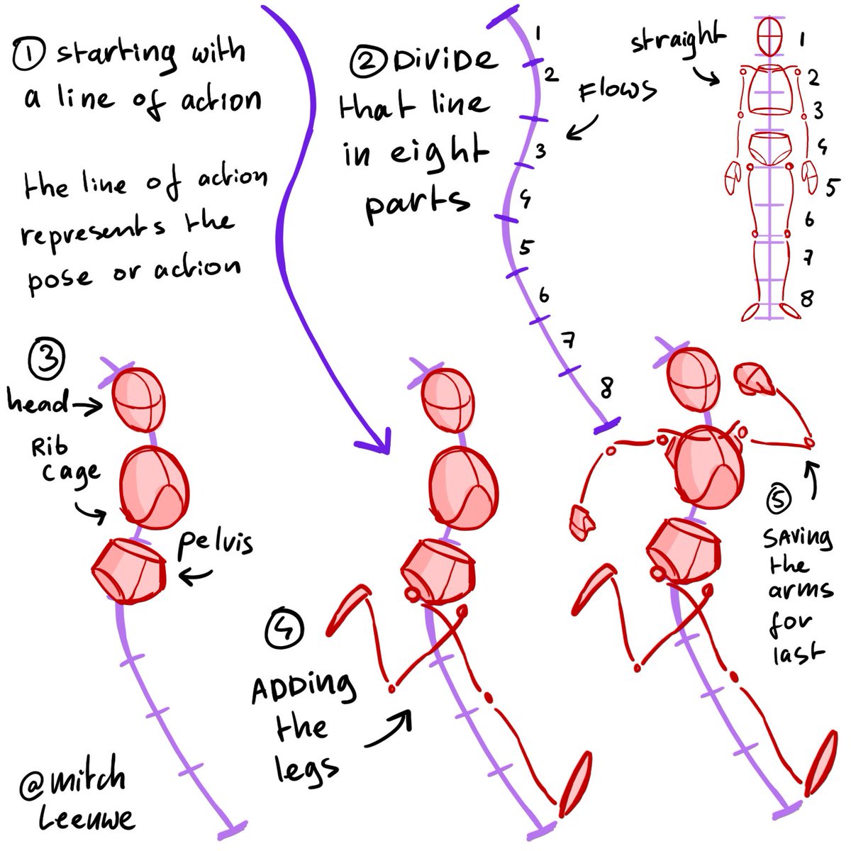 When drawing the body I divide it in 8 parts to get proper proportions. 