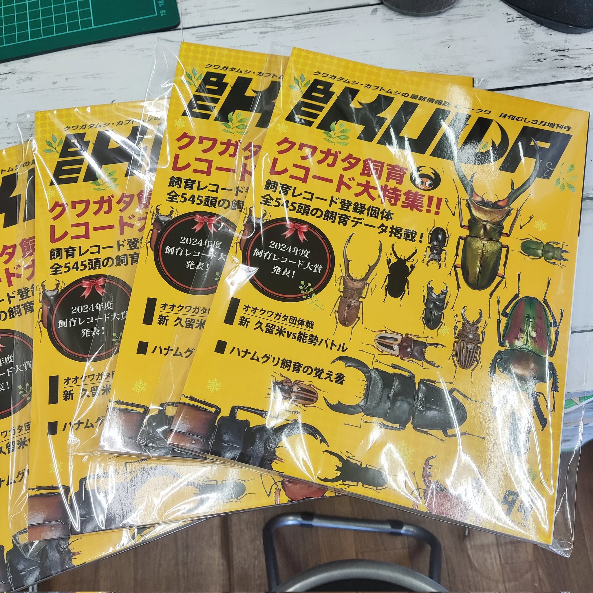 カブクワオタク カブクワshopーMKー on X: