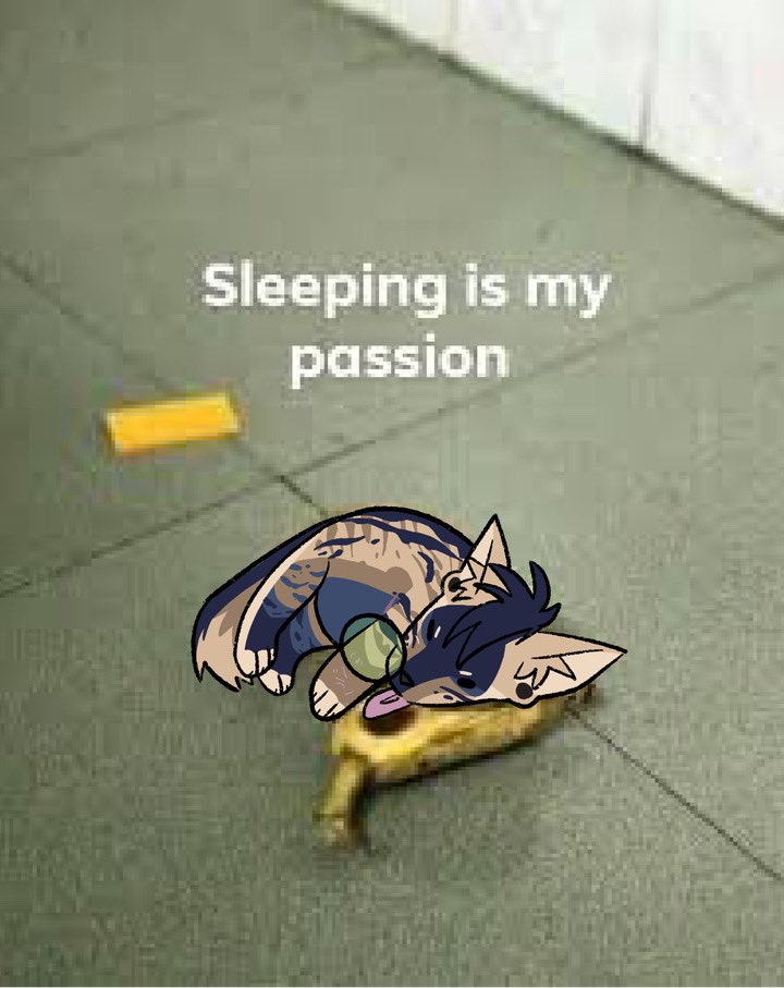 Eepy @/nyx_the_badger #furry #furryart