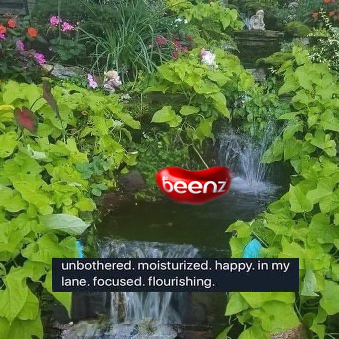 My favourite thing about $beenz is its a coin for the people 

It wasn’t shilled by KOLs who already had allo 

It was found by people who are here day in and day out putting in the work 

Whatever happens I’m here for the ride