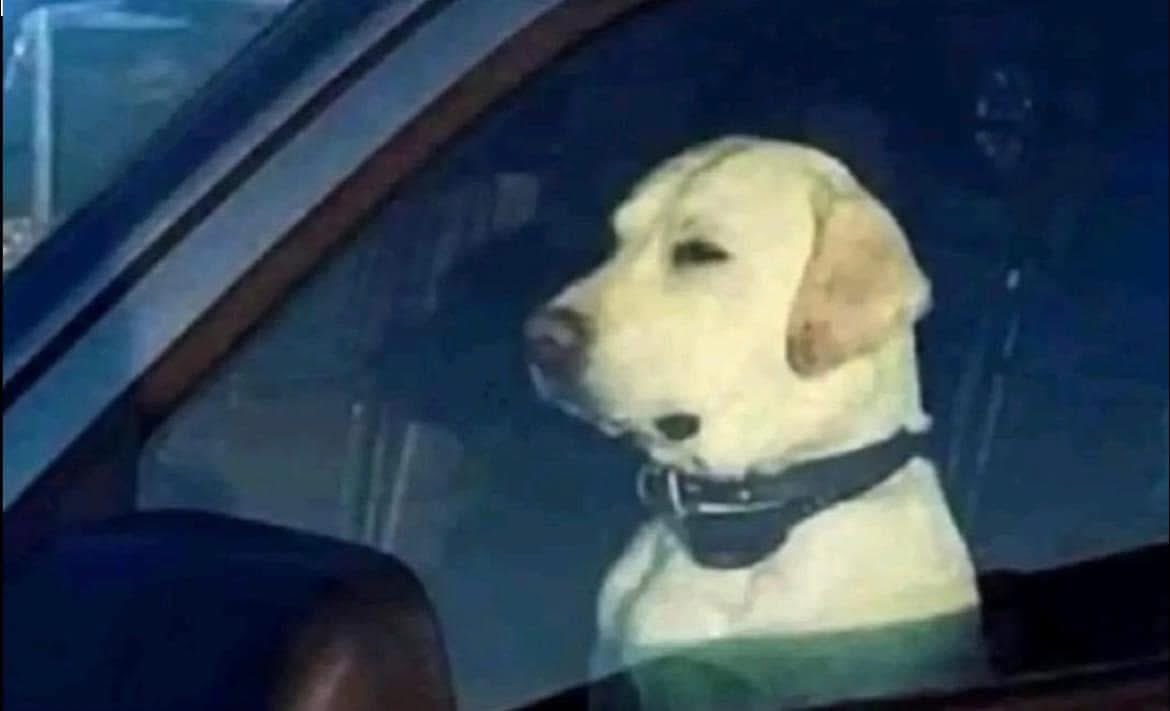 EdyAscanio's tweet photo. Yo de camino al ensayo escuchando las canciones por primera vez https://t.co/wgwEIYoVSP