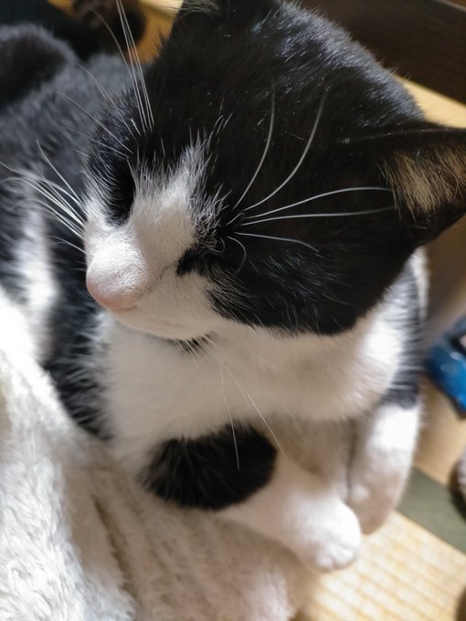 はちみ
も少しで玉取り 