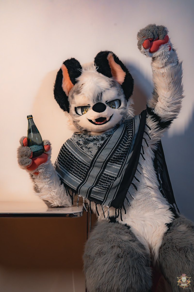 Happy New Year!🧨 
祝大家身体健康 一夜暴富！

📸：<a href="/BenzaiWolfx0v0/">白杓 | Hakusuri @Twitch VT</a>