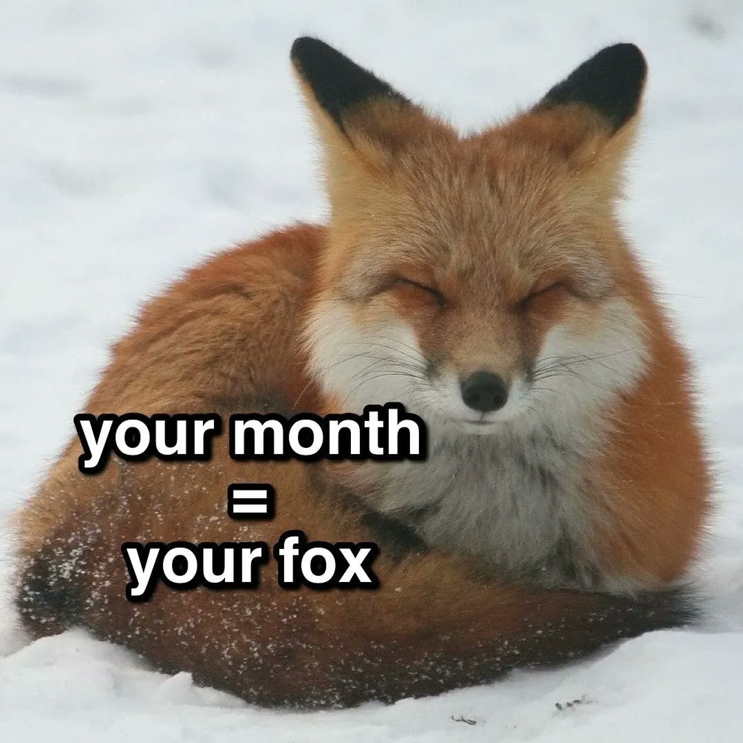 your month = your fox

thread 🧵