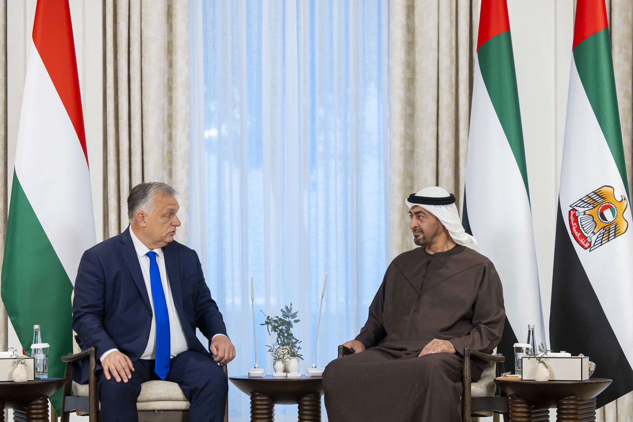 الصورة
