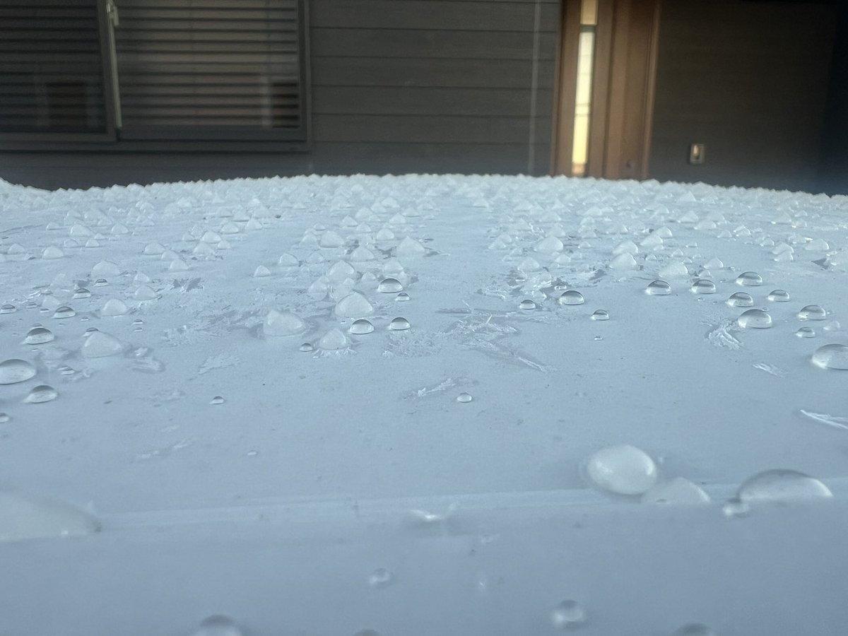y2_23t19's tweet photo. 昨日夜雨降ったのかこんなだった
ちゃんと撥水されて氷の粒いっぱい❄️ https://t.co/p9AoUotRPr