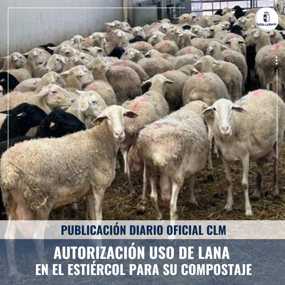 🔶Autorizado el uso la lana en el estiércol para su compostaje 🐑

Hoy se ha publicado en el Diario Oficial de Castilla-La Mancha ▶️ acortar.link/23MfM5

ℹ castillalamancha.es/node/395772

#CLM