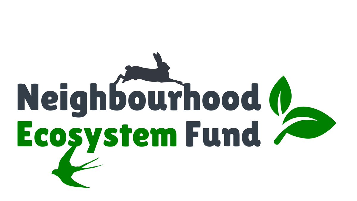 Dundee City Council tweet media