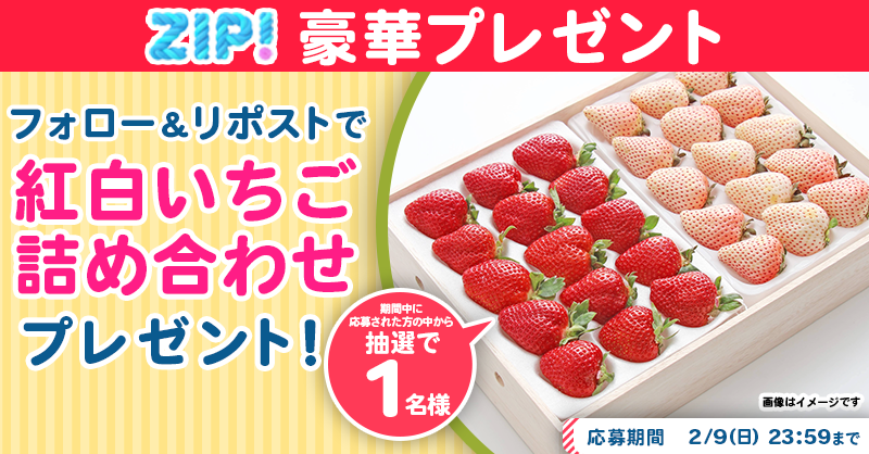 ZIP_TV's tweet photo. 🌅朝は #ZIP! でスマイル🎀

■━━━━━━━━━━━━■
　  紅白いちご詰め合わせ
　プレゼントキャンペーン
　　　　　4️⃣日目❣
■━━━━━━━━━━━━■

📝応募方法📪
1️⃣@ZIP_TV をフォロー▶
2️⃣この投稿をリポスト🔁
➕毎日参加で当選率UP⤴

今すぐリポストで参加してね❣
💙
👐#ZIP