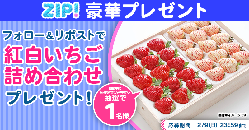 ZIP_TV's tweet photo. 🌅朝は #ZIP! でスマイル🎀

■━━━━━━━━━━━━■
　  紅白いちご詰め合わせ
　プレゼントキャンペーン
　　　　　5️⃣日目❣
■━━━━━━━━━━━━■

📝応募方法📪
1️⃣@ZIP_TV をフォロー▶
2️⃣この投稿をリポスト🔁
➕毎日参加で当選率UP⤴

今すぐリポストで参加してね❣
💙
👐#ZIP