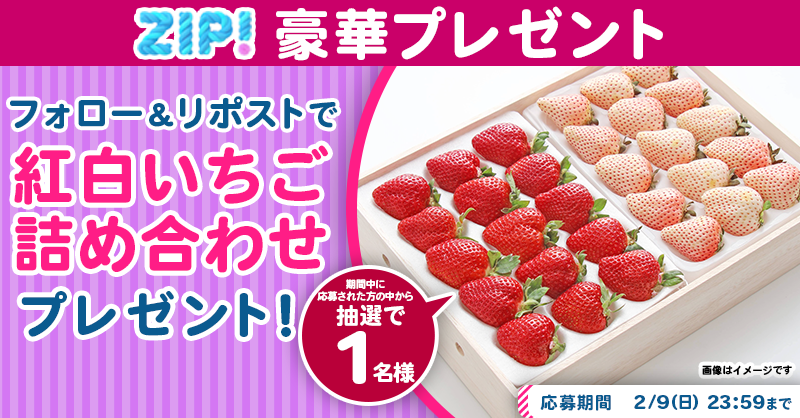 ZIP_TV's tweet photo. 🌅朝は #ZIP! でスマイル🎀

■━━━━━━━━━━━━■
　  紅白いちご詰め合わせ
　プレゼントキャンペーン
　　　　　最終日❣
■━━━━━━━━━━━━■

📝応募方法📪
1️⃣@ZIP_TV をフォロー▶
2️⃣この投稿をリポスト🔁
➕毎日参加で当選率UP⤴

今すぐリポストで参加してね❣
💙
👐#ZIP