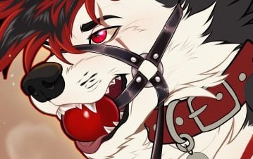 Denyern 狼 🐺 🔜 Ibercon tweet media