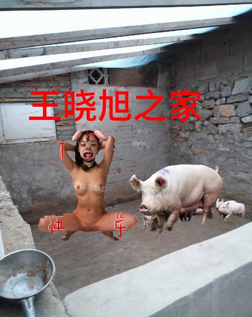 感谢@YxNBYX 祖宗上傻逼母猪入住非洲猪圈，成为给黑人舔鸡巴和屁眼马桶母猪！ #自毁 #曝光 #社死 #母畜 #羞辱 #母狗 #婊子 #妓女 #烂逼 #母人 #母猪 #骚逼 #下贱 #pussy #反差婊 #杂种 #性奴 #精盆 #肉便器 #人肉马桶 #性玩具 #飞机杯 #鸡巴套子