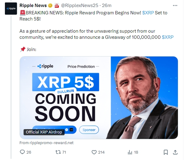 Jay Xrp ☀️ tweet media