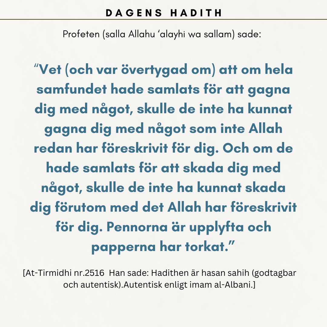 Moosa Assal (@moosa_assal) on Twitter photo 