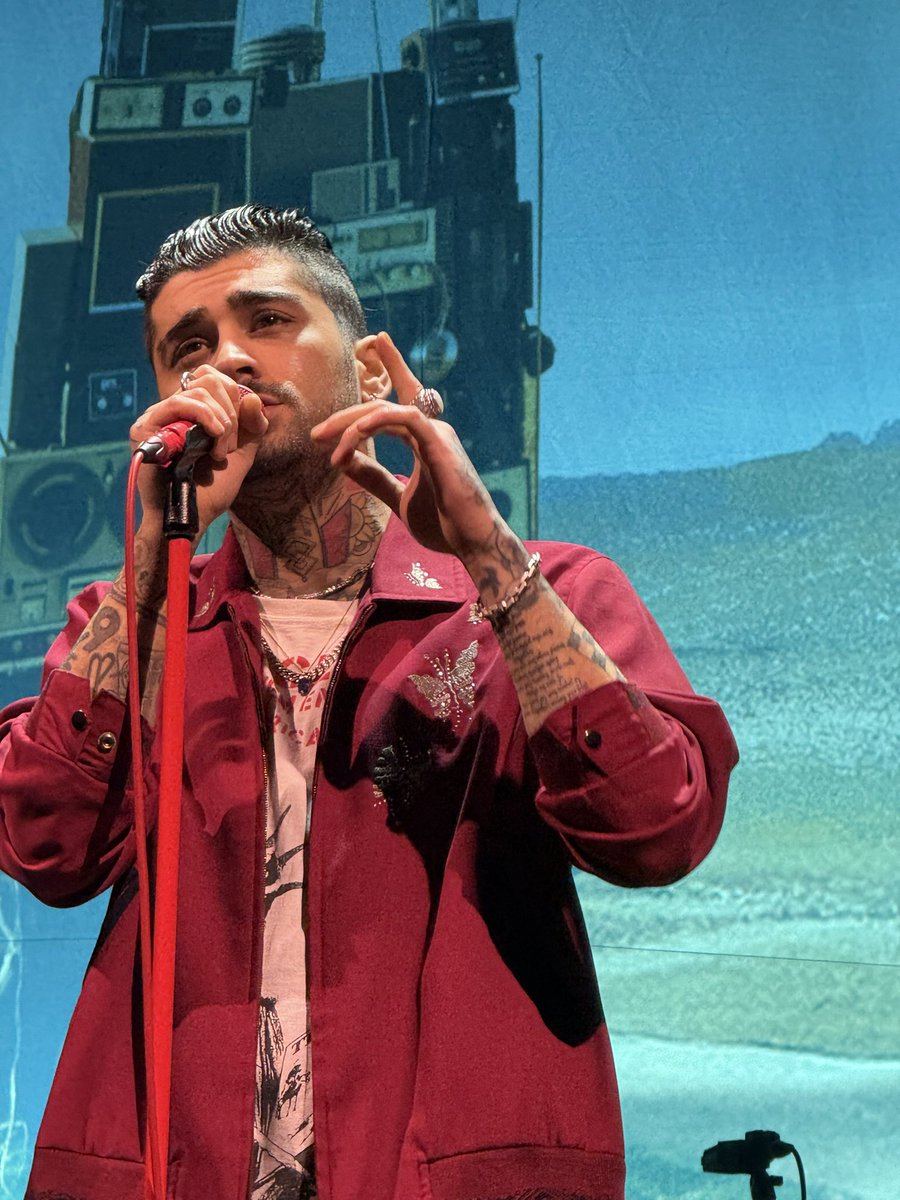 THE GLITTER BUTTERFLIES ON THE JACKET?