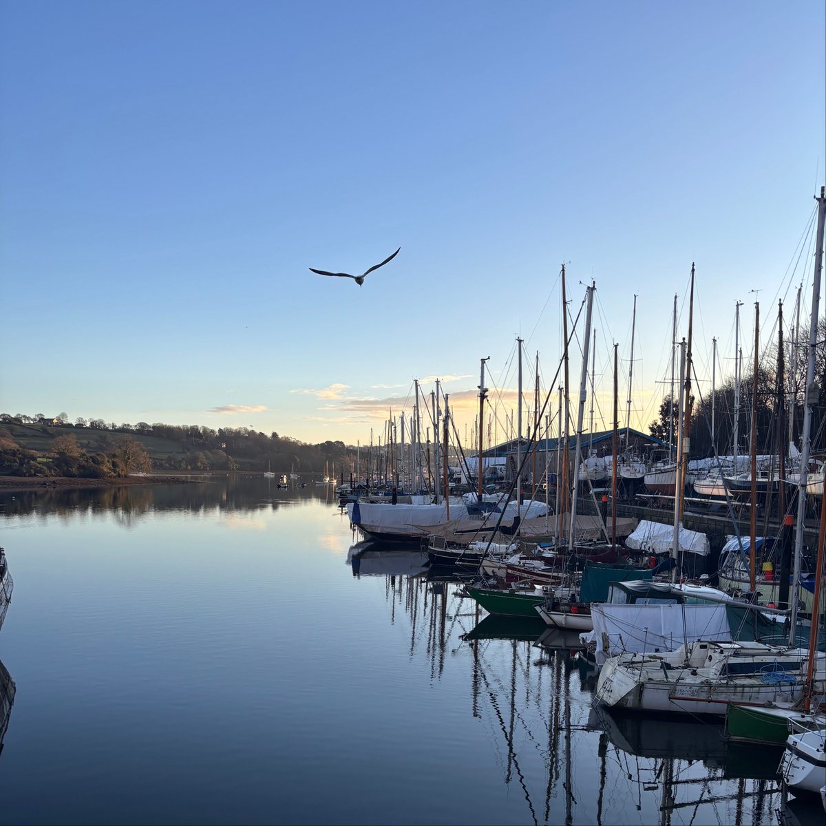 A beautiful glassy morning in Penryn.

All of our Penryn properties are a stone's throw away from this view.

Wake up, grab a coffee, and have a stroll along the river.

Book one of our Penryn properties now- bit.ly/PenrynProperti…