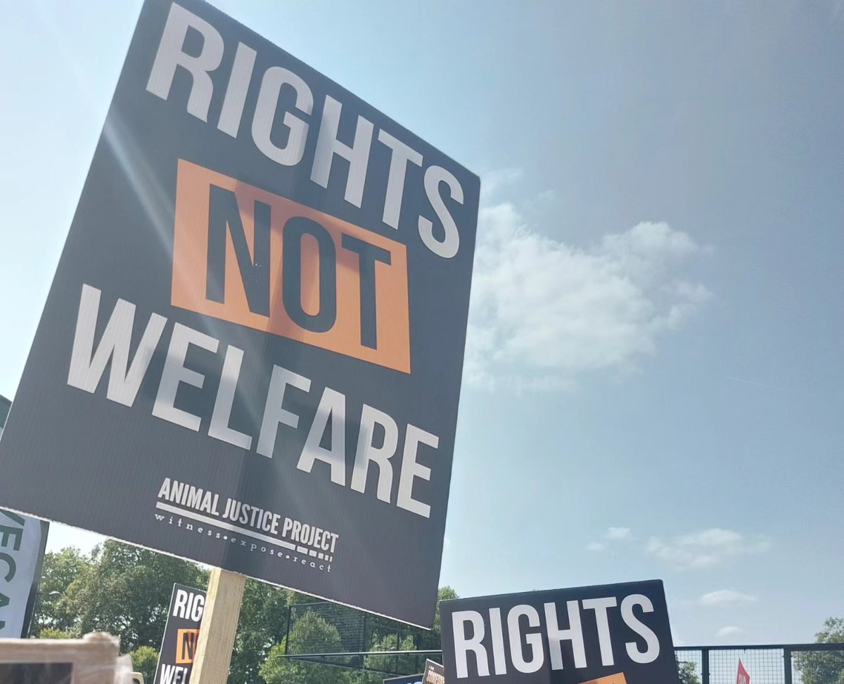 ajpReact's tweet image. Join the fight for animals ❗

animaljusticeproject.com
#AnimalRights #RightsNotWelfare #AnimalJusticeProject