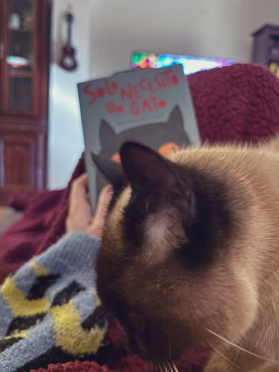 Dicho y hecho #solonecesitoungato <a href="/albertomontt/">alberto montt</a>