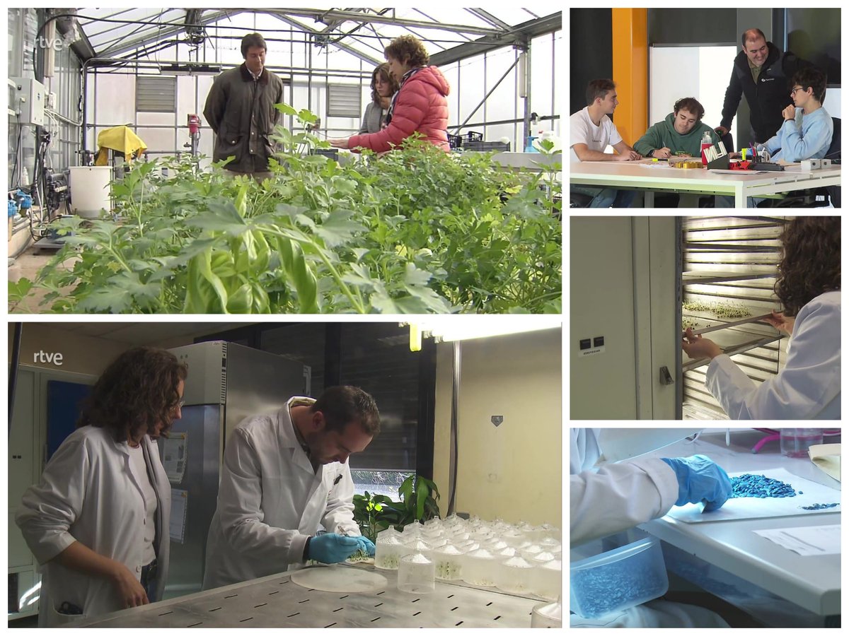 🌱🌱Los Ingenieros Agrónomos 
NO solo viven del CAMPO

📌Tienen TRABAJO asegurado en 
muuuchos sectores profesionales más

Ellos llevan tecnología e innovación al terreno

🎓Peeero bajan las matriculaciones
y cada vez hay menos titulados, WHAAAT?

Mira: ▶️rtve.es/v/16426852/