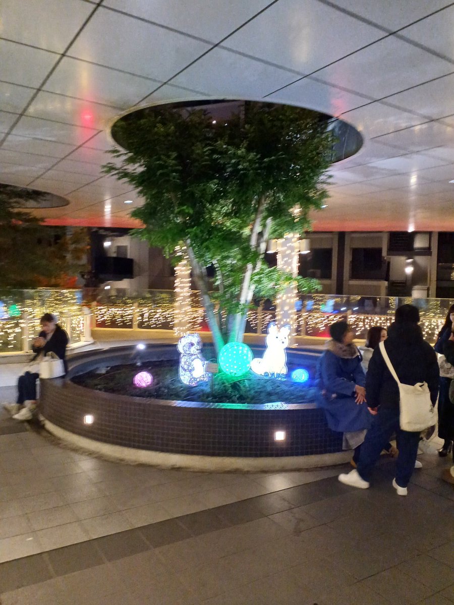 新車の納車がありました。あと茨木駅のイルミネーションです。