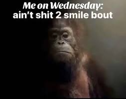 Euris_x's tweet photo. ain't shit https://t.co/MWZvET3ZZN