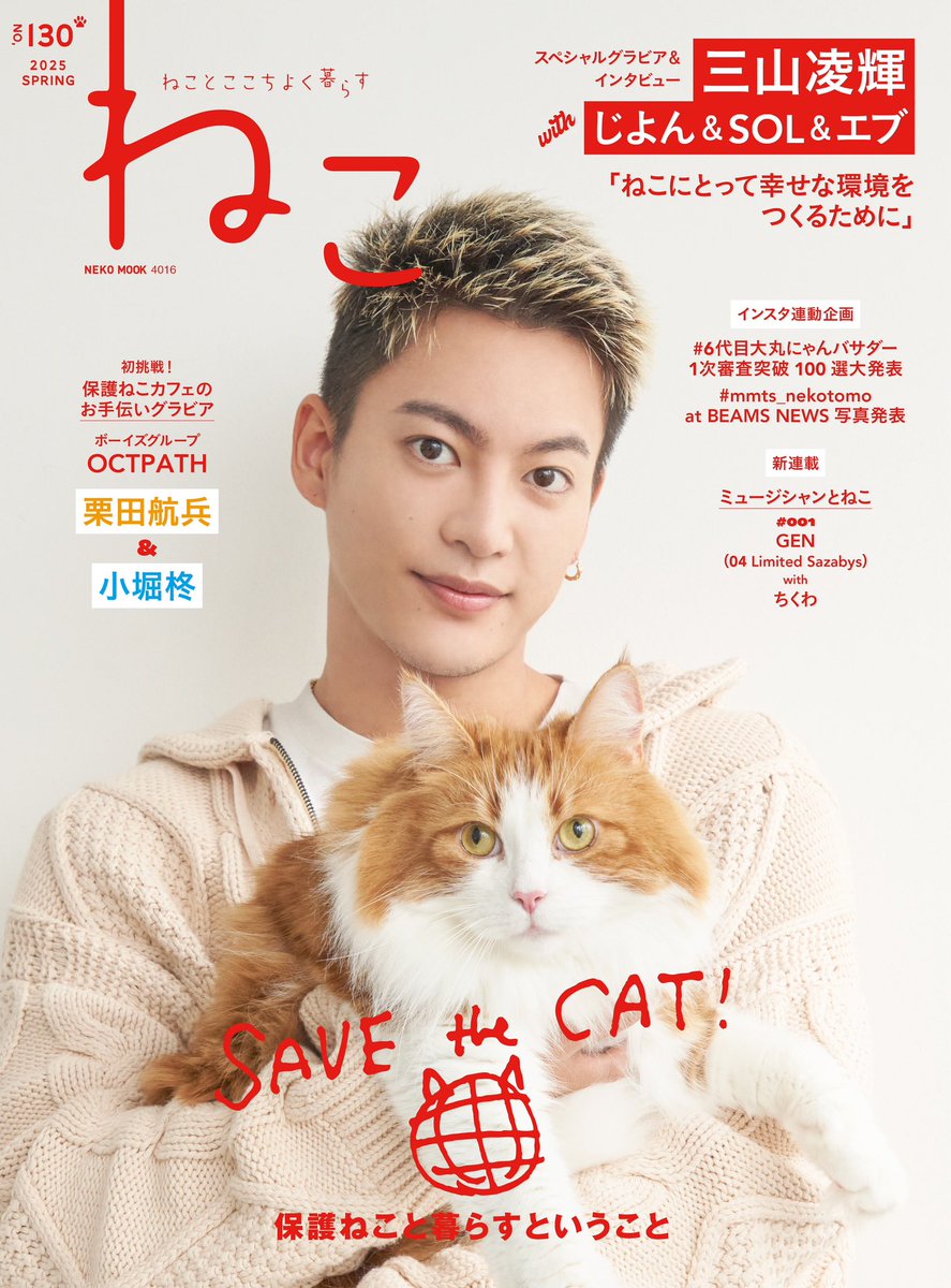 雑誌ねこ