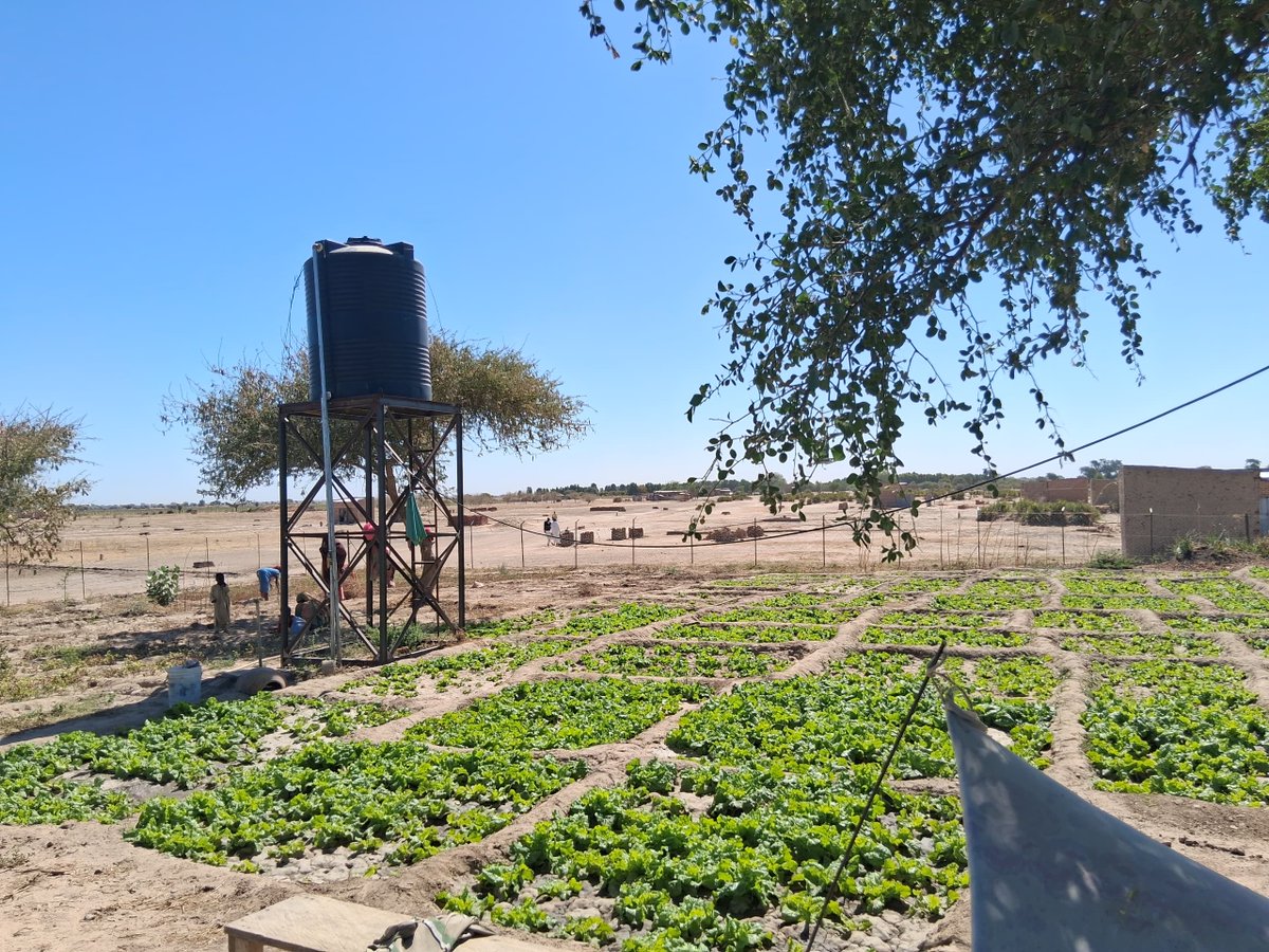 agmvtchad's tweet photo. L’ANGMV, en partenariat avec le PAM, a formé les 150 bénéficiaires du FACI de GAOUI (72,6 % de femmes) aux techniques d’agroforesterie durable.
Session animée par M. Djekornonde, expert en production, pour renforcer la résilience. @WFP_Chad @WFP https://t.co/0SIRZv2uCW